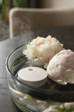 Logo trade liikelahjat mainoslahjat kuva: Breevia RCS rplasic ladattava kelluva ilmankostutin