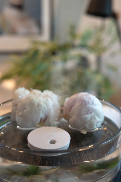 Logo trade mainoslahja ja liikelahja tuotekuva: Breevia RCS rplasic ladattava kelluva ilmankostutin