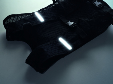 Logotrade dovana nuotrauka: Sportinė kuprinė 420D PU