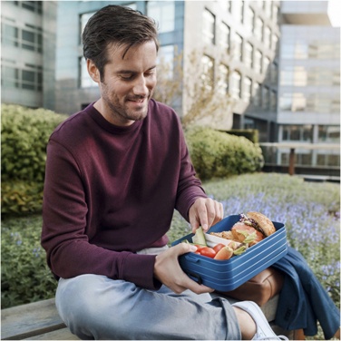 Logotrade profilprodukter bild: Mepal Take-a-break stor lunchlåda