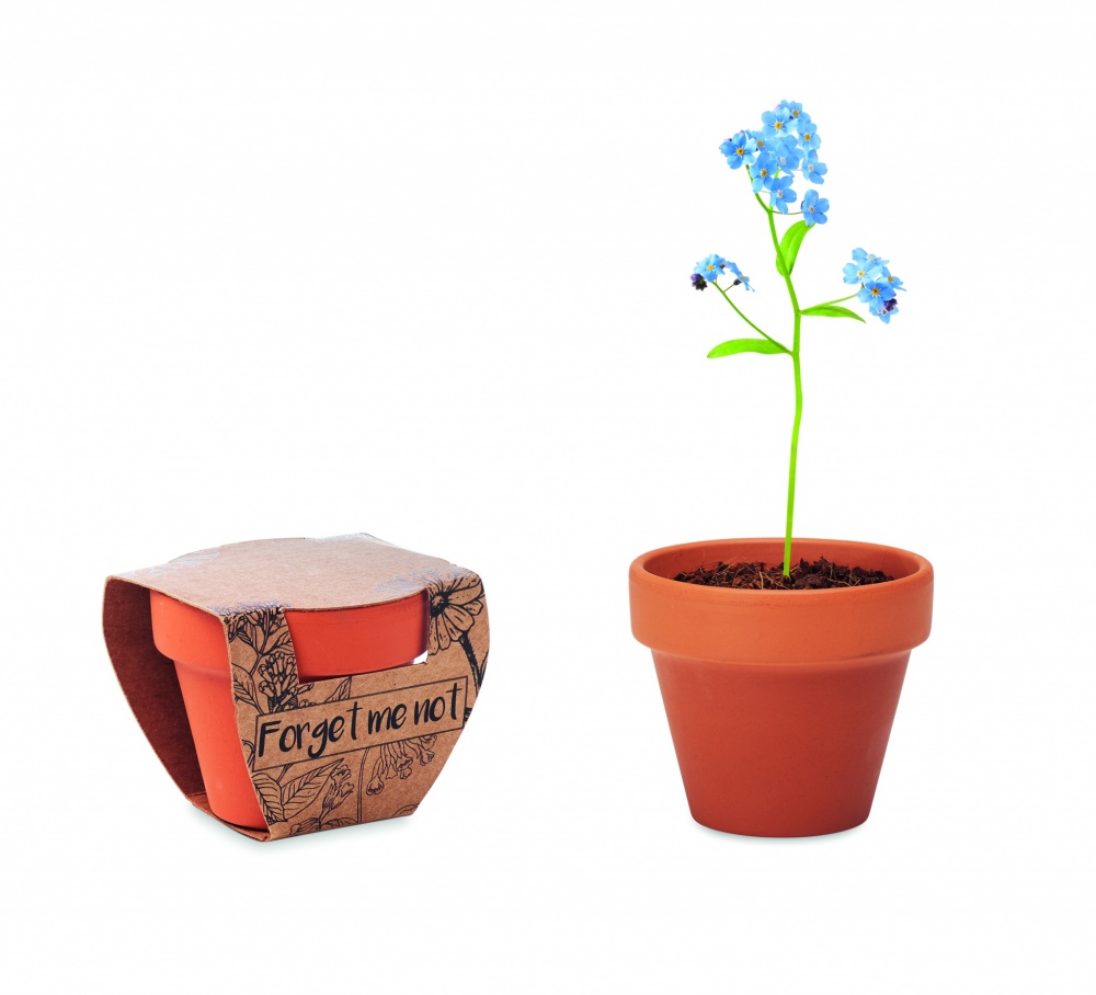 Logotrade presentreklam bild: Terracotta skål 'forget me not'