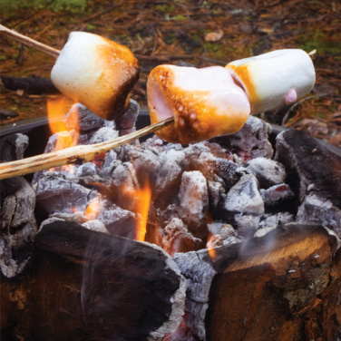 Logotrade reklamprodukter bild: Eco Grill L